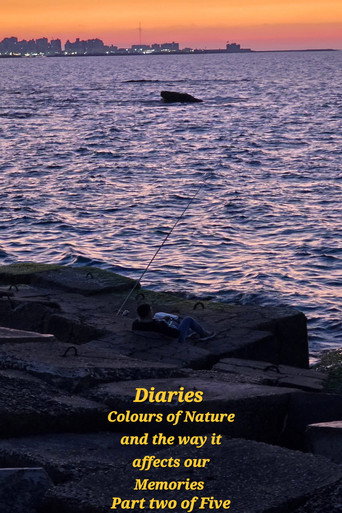 Movie poster for Diaries: Colours of Nature and the Way It Affects Our Memories. (2026)