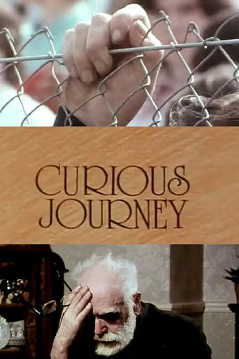 Curious Journey poster