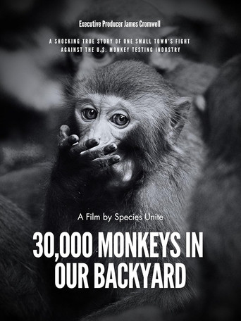 Movie poster for 30,000 Monkeys in Our Backyard