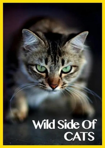 Movie poster for Wild Side of Cats (2013)
