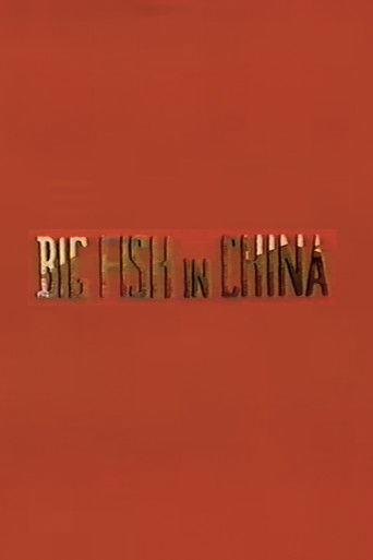 Big Fish in China poster