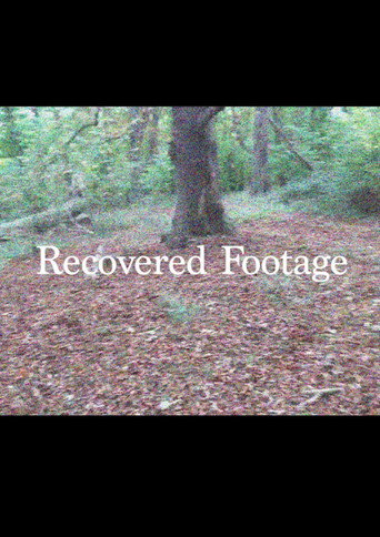 Movie poster for Recovered Footage (2025)
