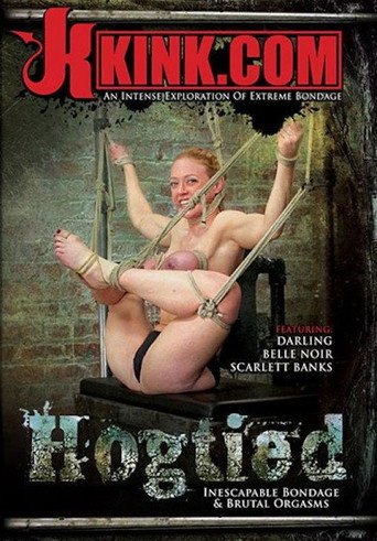 Movie poster for Hogtied (2013)