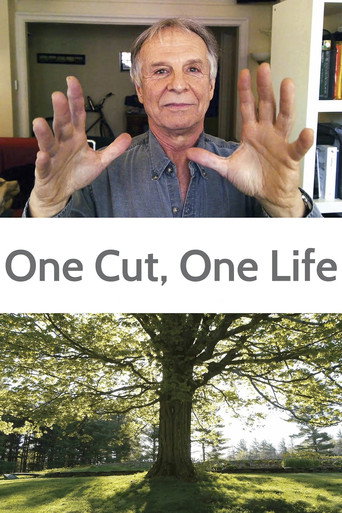 Movie poster for One Cut, One Life (2014)