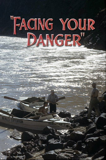 Movie poster for Facing Your Danger (1946)