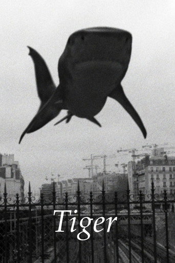 Movie poster for Tiger (2017)