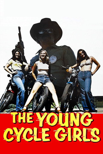 Movie poster for Cycle Vixens (1978)