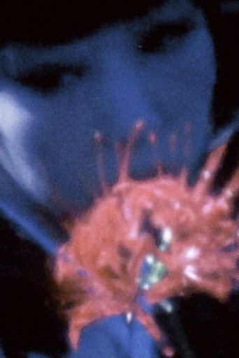Movie poster for Despair Arabesque (2011)