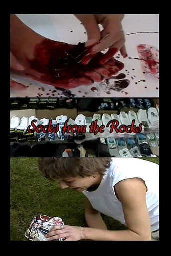 Movie poster for Socks from the Rocks (2006)