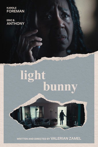 Light Bunny poster