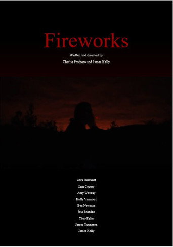 Movie poster for Fireworks (2019)