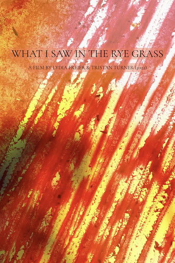 What I Saw in the Rye Grass poster