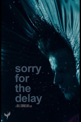 Movie poster for Sorry for the Delay (2023)
