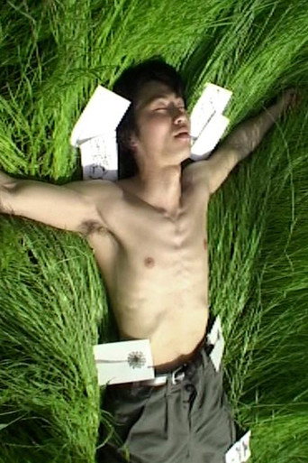 Movie poster for Pictorial Letters (2003)