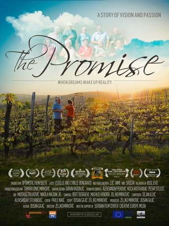 Movie poster for The Promise