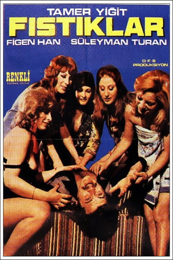 Movie poster for Fıstıklar