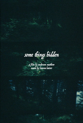Movie poster for Some Things Hidden (2021)