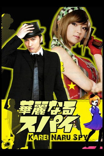 The Super Splendid Spy poster