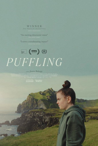 Movie poster for Puffling (2024)