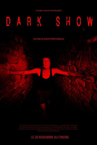 Movie poster for Dark Show (2016)