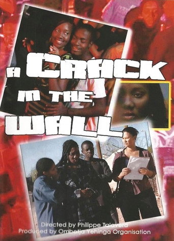 Movie poster for A Crack in the Wall (2009)