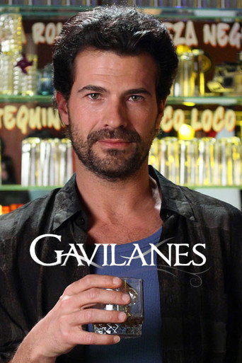 Series poster for Gavilanes (2010)