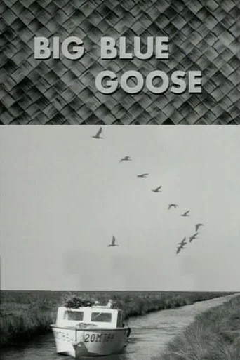 Movie poster for Big Blue Goose (1956)