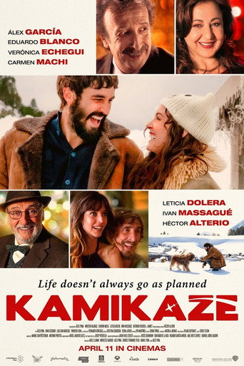 Movie poster for Kamikaze (2014)