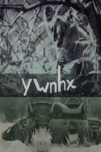 Movie poster for ywnhx (2023)