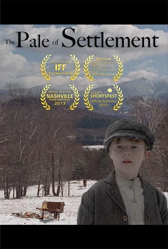 Movie poster for The Pale of Settlement (2013)