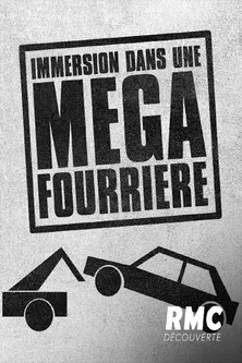Immersion dans une méga fourrière poster