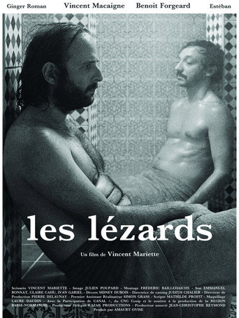 Movie poster for The Lizards (2013)