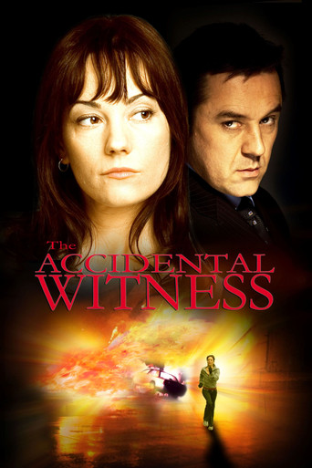 The Accidental Witness poster