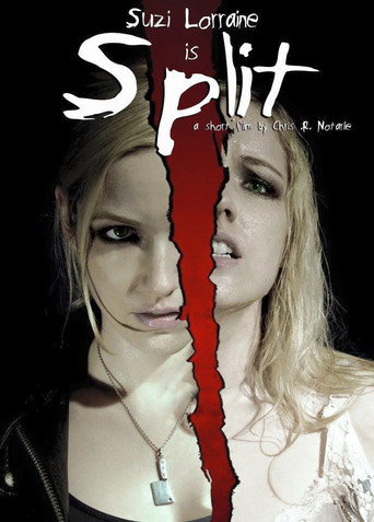 Movie poster for Split (2012)