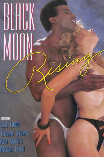 Movie poster for Black Moon Rising (1987)