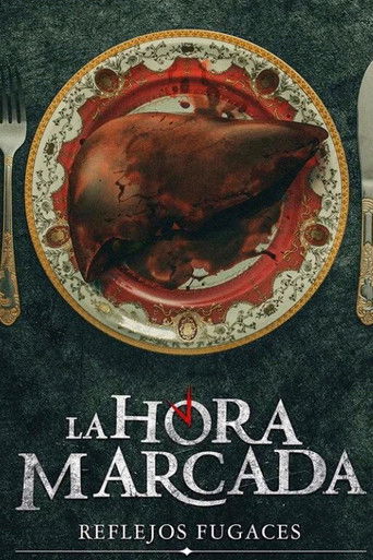 Fleeting Reflections poster