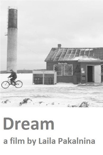 Movie poster for Dream (2016)