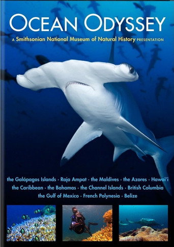 Movie poster for Ocean Odyssey (2010)