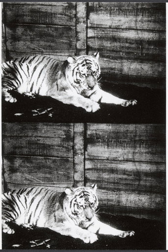 Movie poster for Beasts of the Jungle (1913)