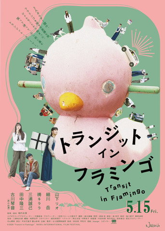 Movie poster for Transit in Flamingo (2026)