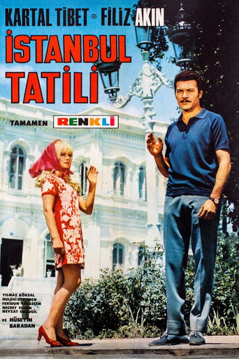 İstanbul Tatili poster