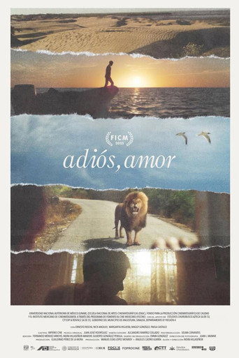 Movie poster for Goodbye, Love (2025)