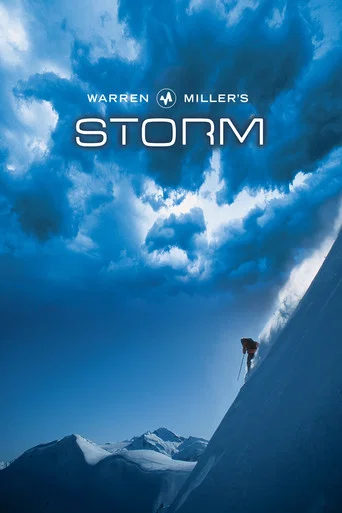 Movie poster for Storm (2002)