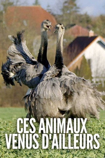 Series poster for Ces animaux venus d'ailleurs (2021)