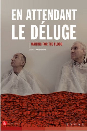 Movie poster for Waiting for the Flood