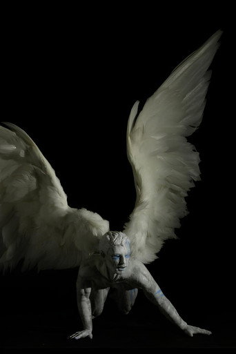 Movie poster for Plume (2011)
