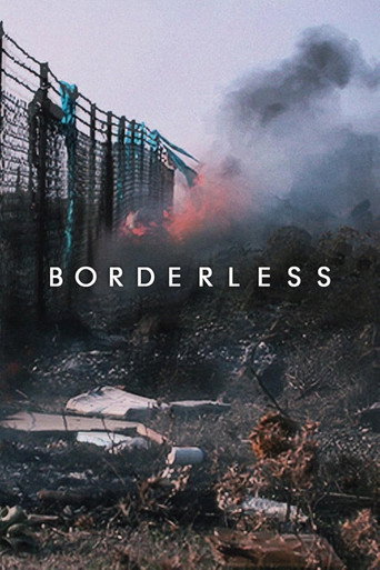 Movie poster for Borderless (2019)