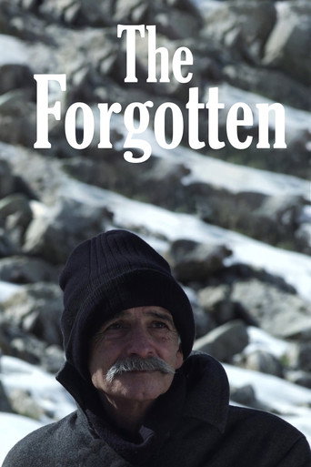 Movie poster for The Forgotten (2013)