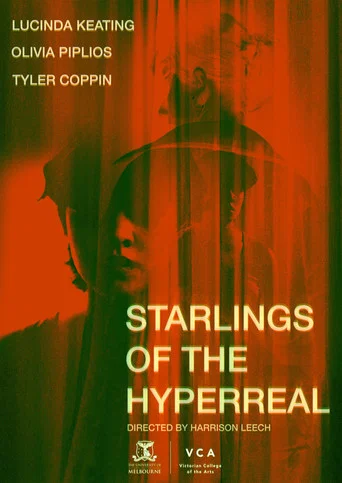 Movie poster for Starlings of the Hyperreal