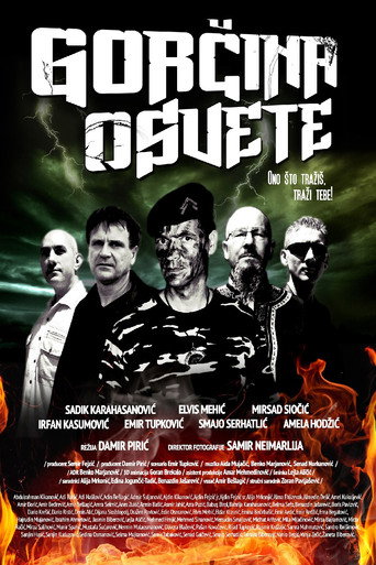 Movie poster for The Bitterness of Revenge (2013)